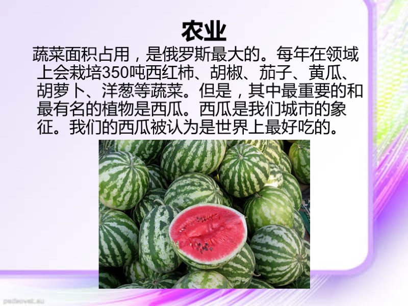 农业   蔬菜面积占用，是俄罗斯最大的。每年在领域上会栽培350吨西红柿、胡椒、茄子、黄瓜、胡萝卜、洋葱等蔬菜。但是，其中最重要的和最有名的植物是西瓜。西瓜是我们城市的象征。我们的西瓜被认为是世界上最好吃的。